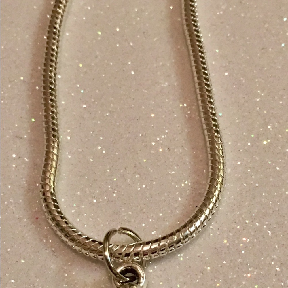 Sea Turtle Collection - Picture 4 of 5